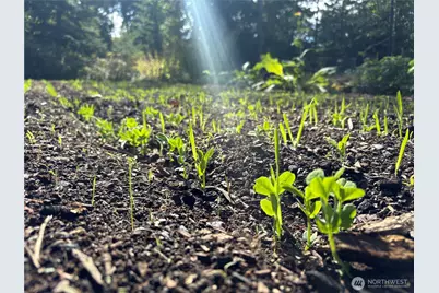 2514 177th Avenue NE, Snohomish, WA 98290 - Photo 7