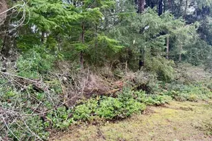 2002 200th Ln, Ocean Park, WA 98640 - Photo 5