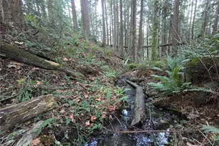 276261 Hwy 101, Sequim, WA 98382 - Photo 31