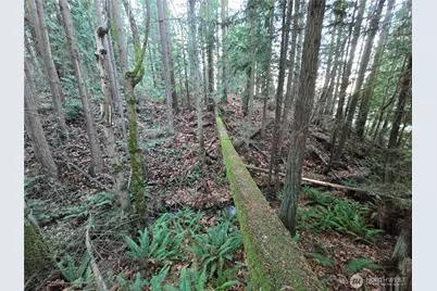 276261 Highway 101, Sequim, WA 98382 - Photo 11