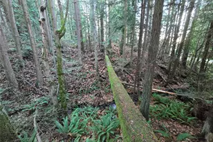 276261 Hwy 101, Sequim, WA 98382 - Photo 11