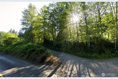 31822 Orville Road E, Graham, WA 98338 - Photo 1