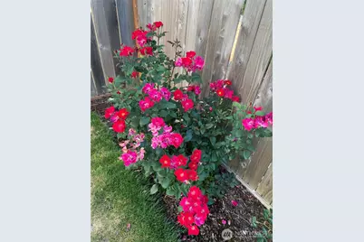 26733 227th Avenue SE, Maple Valley, WA 98038 - Photo 31