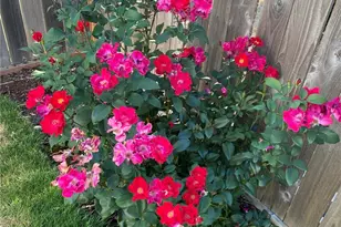 26733 227th Ave SE, Maple Valley, WA 98038 - Photo 31