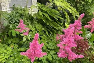 26733 227th Ave SE, Maple Valley, WA 98038 - Photo 35