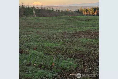 228 Suncrest Drive, Castle Rock, WA 98611 - Photo 1