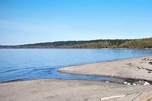 1309 NW Norcross Way, Seattle, WA 98177 - Photo 3