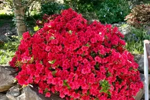 652 Meadows Dr, Wenatchee, WA 98801 - Photo 39