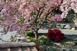 652 Meadows Dr, Wenatchee, WA 98801 - Photo 35