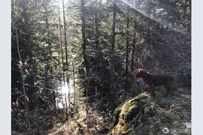 7530 Powerline Rd, Marblemount, WA 98267 - Photo 7