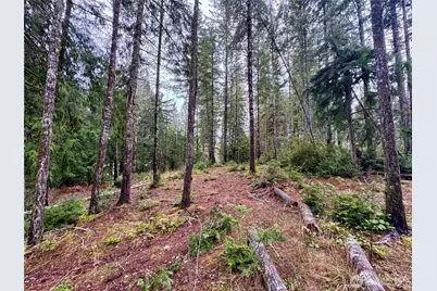 18349 NW Stavis Bay Road, Seabeck, WA 98380 - Photo 39