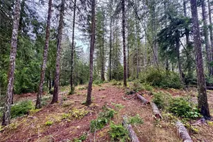 18349 NW Stavis Bay Rd, Seabeck, WA 98380 - Photo 39