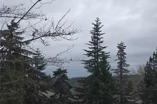 7417 Old Redmond Rd, Redmond, WA 98052 - Photo 21