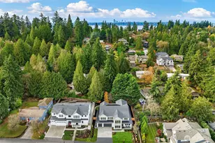 1009 102nd Pl SE, Bellevue, WA 98004 - Photo 35