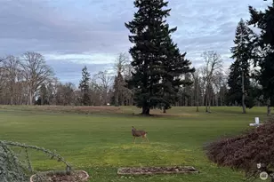 8218 Zircon Dr SW, Lakewood, WA 98498 - Photo 21