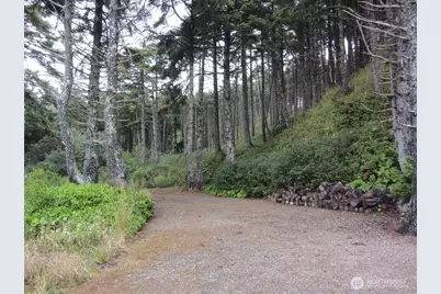 29 Golden Lane, Pacific Beach, WA 98571 - Photo 3
