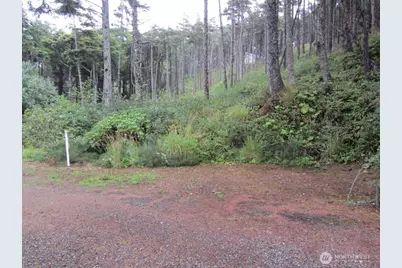 29 Golden Lane, Pacific Beach, WA 98571 - Photo 1