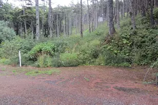 29 Golden Ln, Pacific Beach, WA 98571 - Photo 1