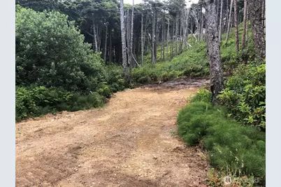 29 Golden Lane, Pacific Beach, WA 98571 - Photo 5