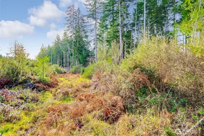 1 E Jared Road, Shelton, WA 98584 - Photo 11