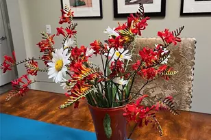 12421 240th Pl NE, Redmond, WA 98053 - Photo 39