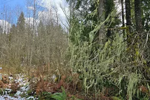 31518 557th Street Ct, Ashford, WA 98304 - Photo 1