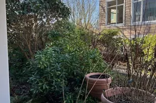 180 Harbor Square Loop NE, Bainbridge Island, WA 98110 - Photo 9