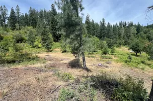 0 1 Tbd Mitchell Rd, Northport, WA 99157 - Photo 1