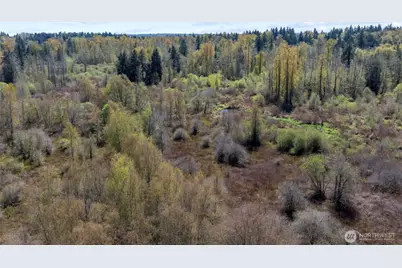 10 Xxx 54th Place NE, Lake Stevens, WA 98258 - Photo 15