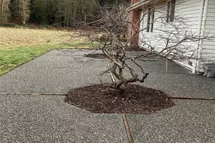 32002 Brandstrom Rd, Stanwood, WA 98292 - Photo 17