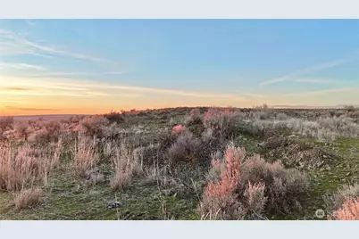 0 Irby Road N, Odessa, WA 98823 - Photo 7
