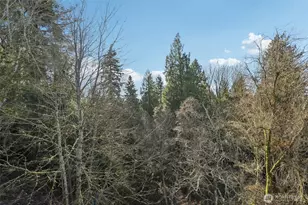 1005 NW 132nd St, Vancouver, WA 98685 - Photo 23