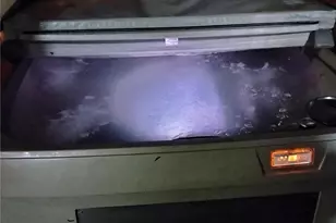 1410 Beech Ave, Steilacoom, WA 98388 - Photo 19