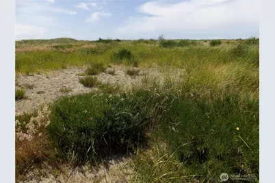 34315 G Street, Ocean Park, WA 98640 - Photo 9