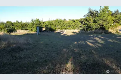 31911 I Street, Ocean Park, WA 98640 - Photo 13