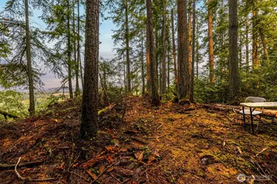 25193 Walker Valley Road, Mount Vernon, WA 98274 - Photo 35