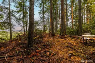 25193 Walker Valley Rd, Mount Vernon, WA 98274 - Photo 35