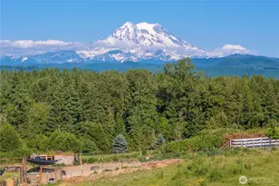 9906 328th St E, Graham, WA 98338 - Photo 3