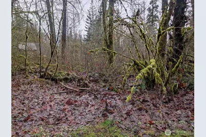 16006 Shuksan Rim Drive, Glacier, WA 98244 - Photo 3