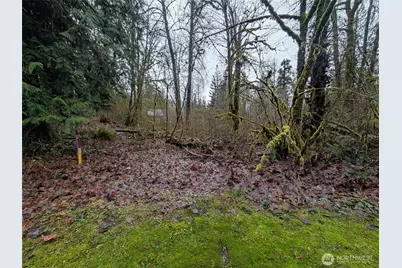 16006 Shuksan Rim Drive, Glacier, WA 98244 - Photo 1