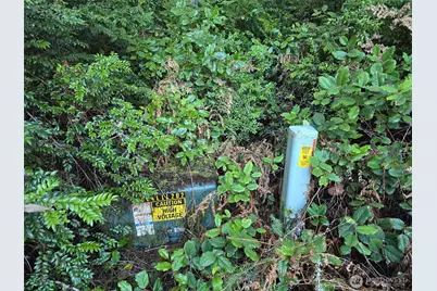 11624 Mill Place, Anderson Island, WA 98303 - Photo 5