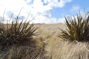 1335 Ocean Shores Blvd SW, Ocean Shores, WA 98569 - Photo 35