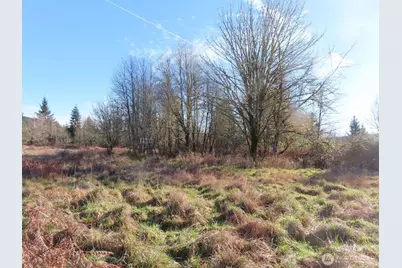 0 Xxx Larson Road, Mossyrock, WA 98564 - Photo 25