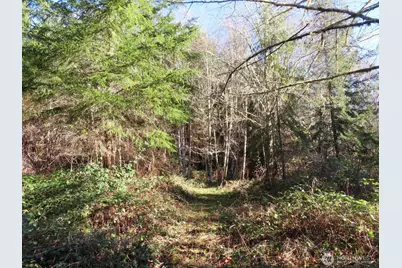 0 Xxx Larson Road, Mossyrock, WA 98564 - Photo 23