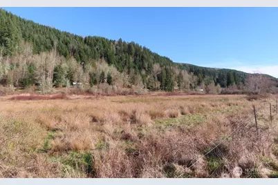 0 Xxx Larson Road, Mossyrock, WA 98564 - Photo 13