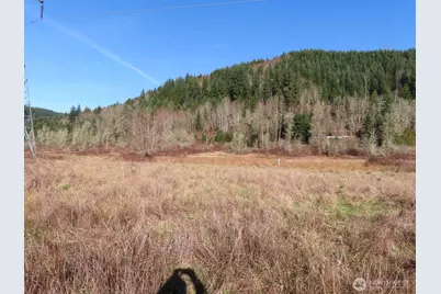 0 Xxx Larson Road, Mossyrock, WA 98564 - Photo 19