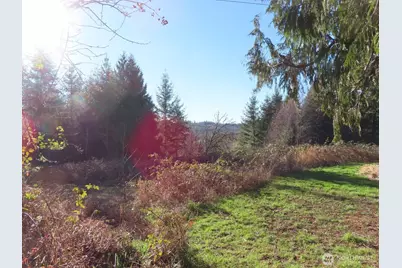 0 Xxx Larson Road, Mossyrock, WA 98564 - Photo 7