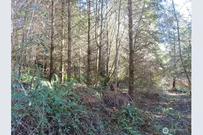 0 Xxx Larson Road, Mossyrock, WA 98564 - Photo 27