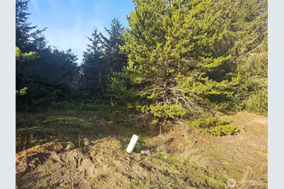 276 S Wynoochee Drive SW, Ocean Shores, WA 98569 - Photo 3