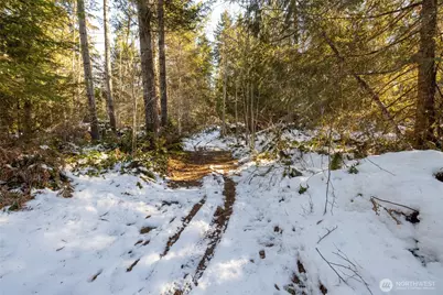 0 Firestation Avenue NW, Seabeck, WA 98380 - Photo 15